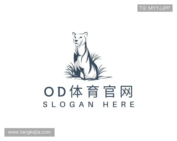 发现OD体育官网