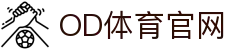 OD体育 - 欧洲杯合作平台